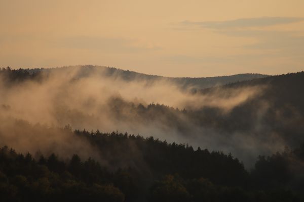 Fog rolling over a forested ridge at sunrise — Tobi & Chris on Pexels