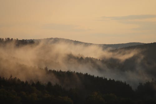 Foto profissional grátis de ao ar livre, árvores, céu branco