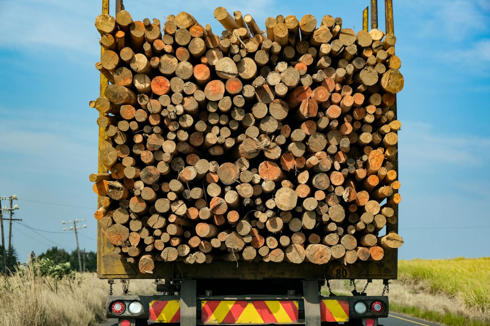 Holzlaster mit geladenen Baumstämmen auf Landstraße