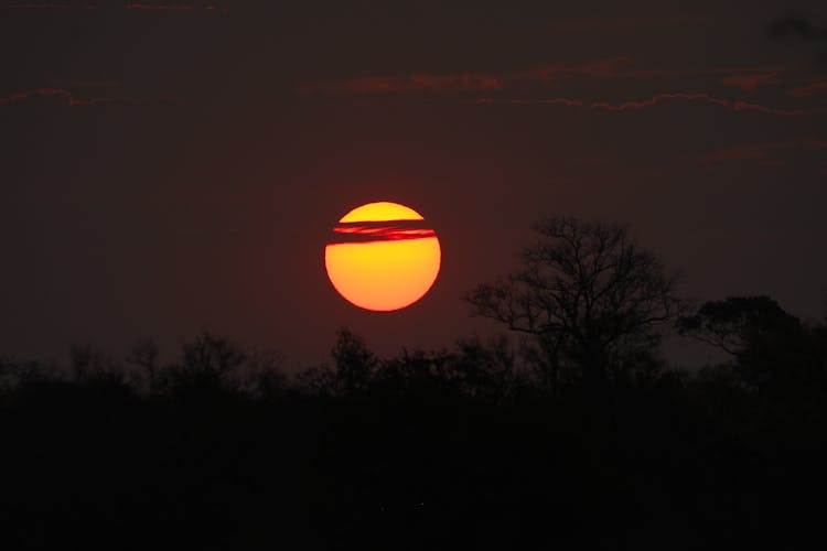 Sun In Sky Above Forest In Wild Nature