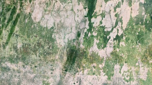 Free A close-up view of an eroded wall in Dhangethi with green peeling paint. Stock Photo
