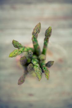 asparagus image 4