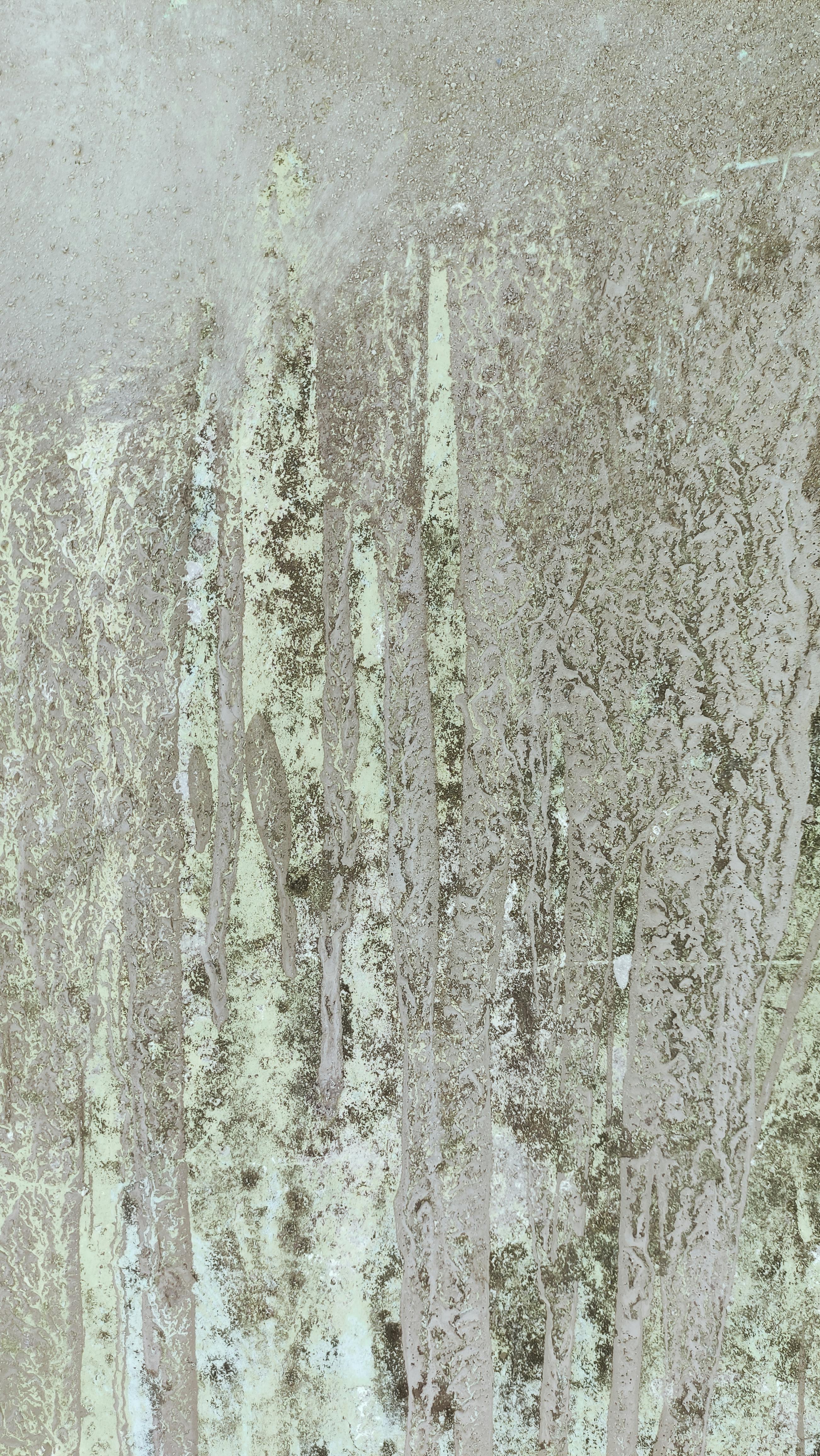Close-up texture of a moss-covered wall offering earthy tones and rough details. Perfect for backgrounds.