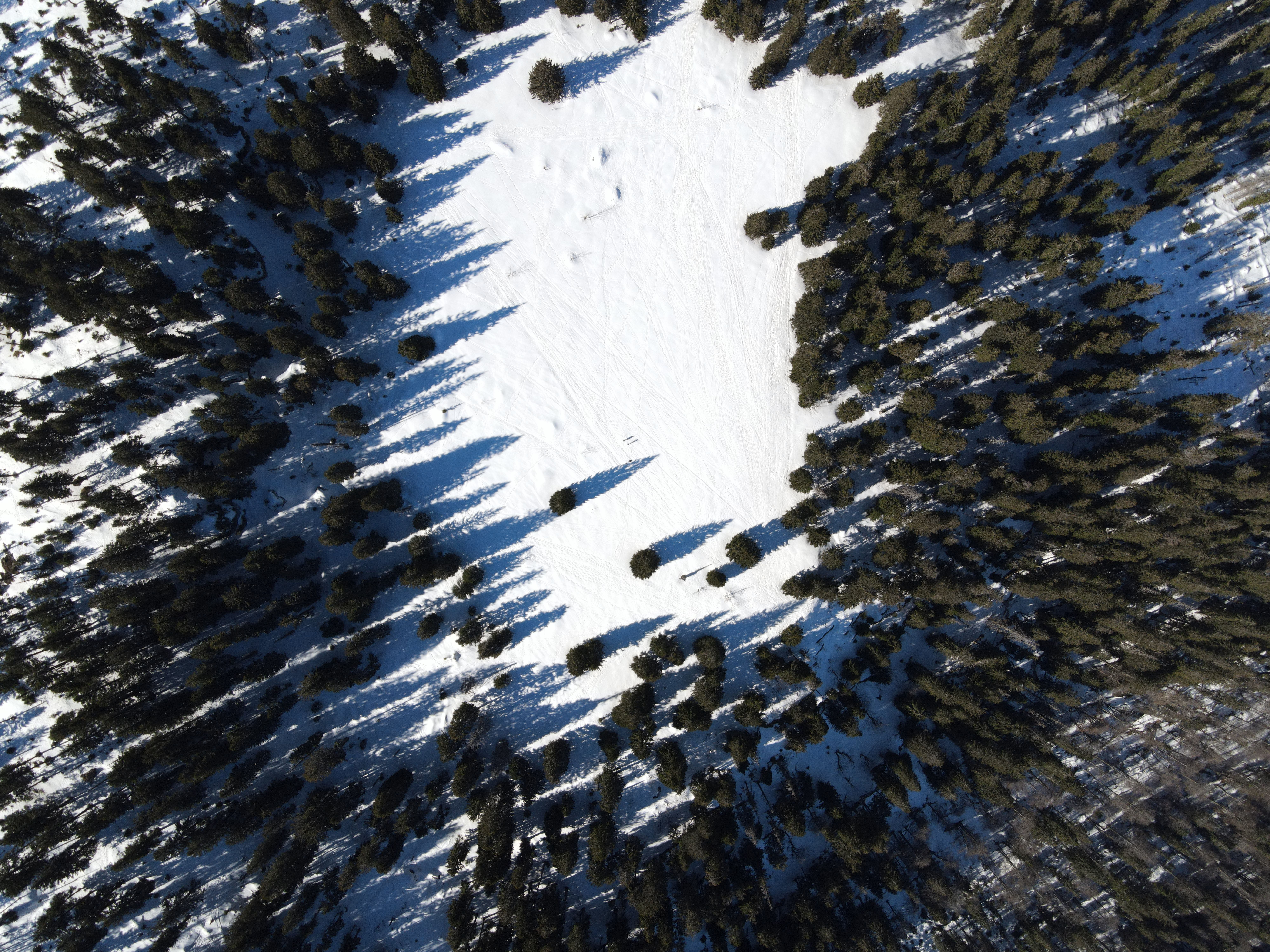 Aerial Photography of Trees on Snow Covered Ground · Free Stock Photo