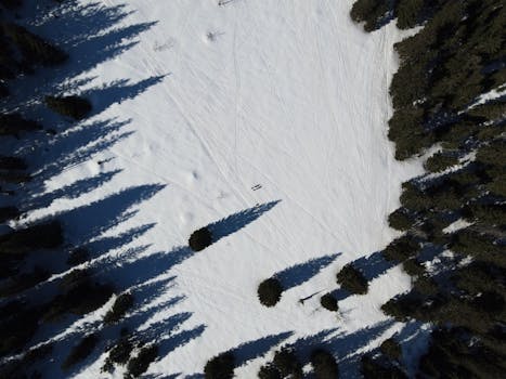 Aerial view of snow-covered pine trees casting long shadows in a winter landscape in Bavaria.