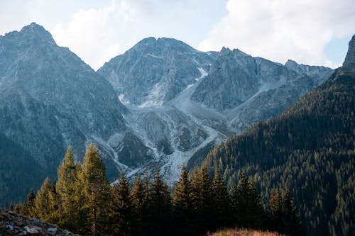 ağaçlar, doğa, kayalık Dağ içeren Ücretsiz stok fotoğraf