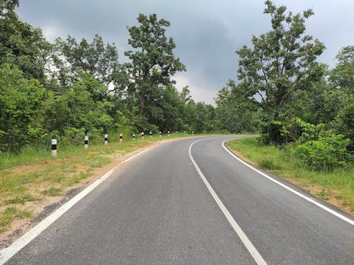 açık hava, ağaçlar, beton yol içeren Ücretsiz stok fotoğraf