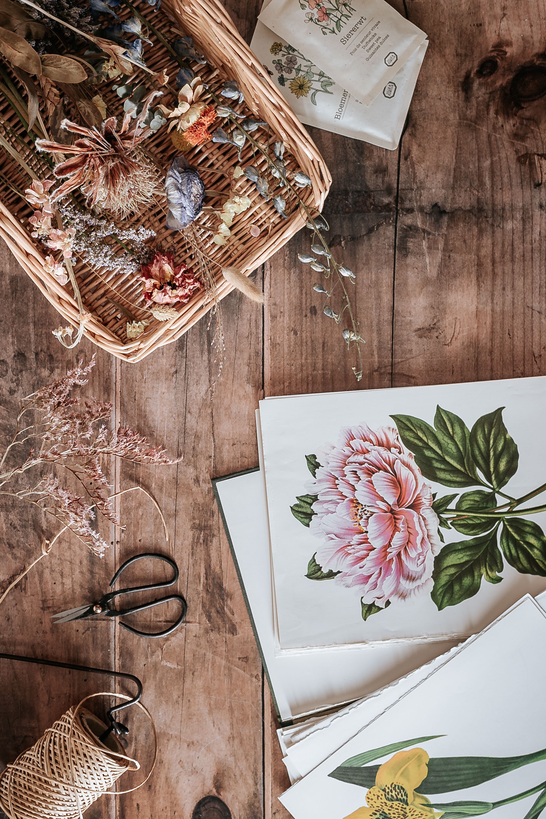 Top view of botanical paintings with dried flowers, scissors, and basket on a wooden surface, creating a cozy artistic vibe.