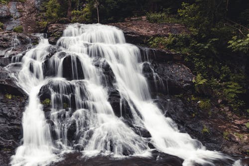 Time-Lapse Photo of Waterfalls in Forest