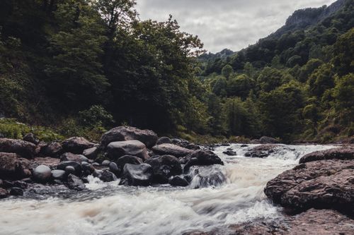 Free A turbulent river flows through a lush, green forest with rugged rock formations. Stock Photo