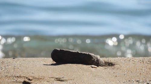 Foto d'estoc gratuïta de platja, sorra de platja