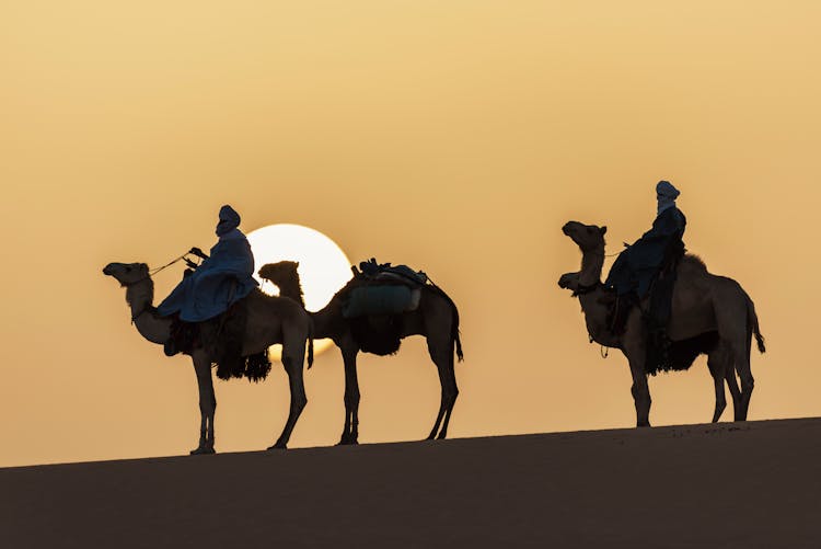 People Riding Camels On Desert