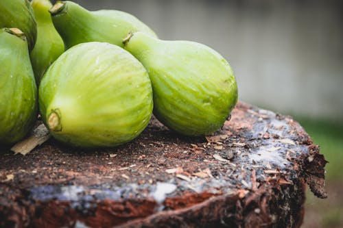 Green Round Fruits on Brown Surface