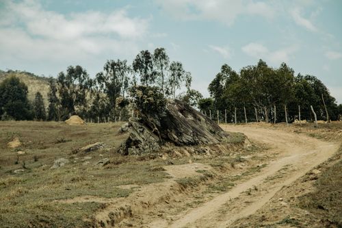 Free Tranquil rural scene with a dirt road winding through a countryside landscape with trees. Stock Photo