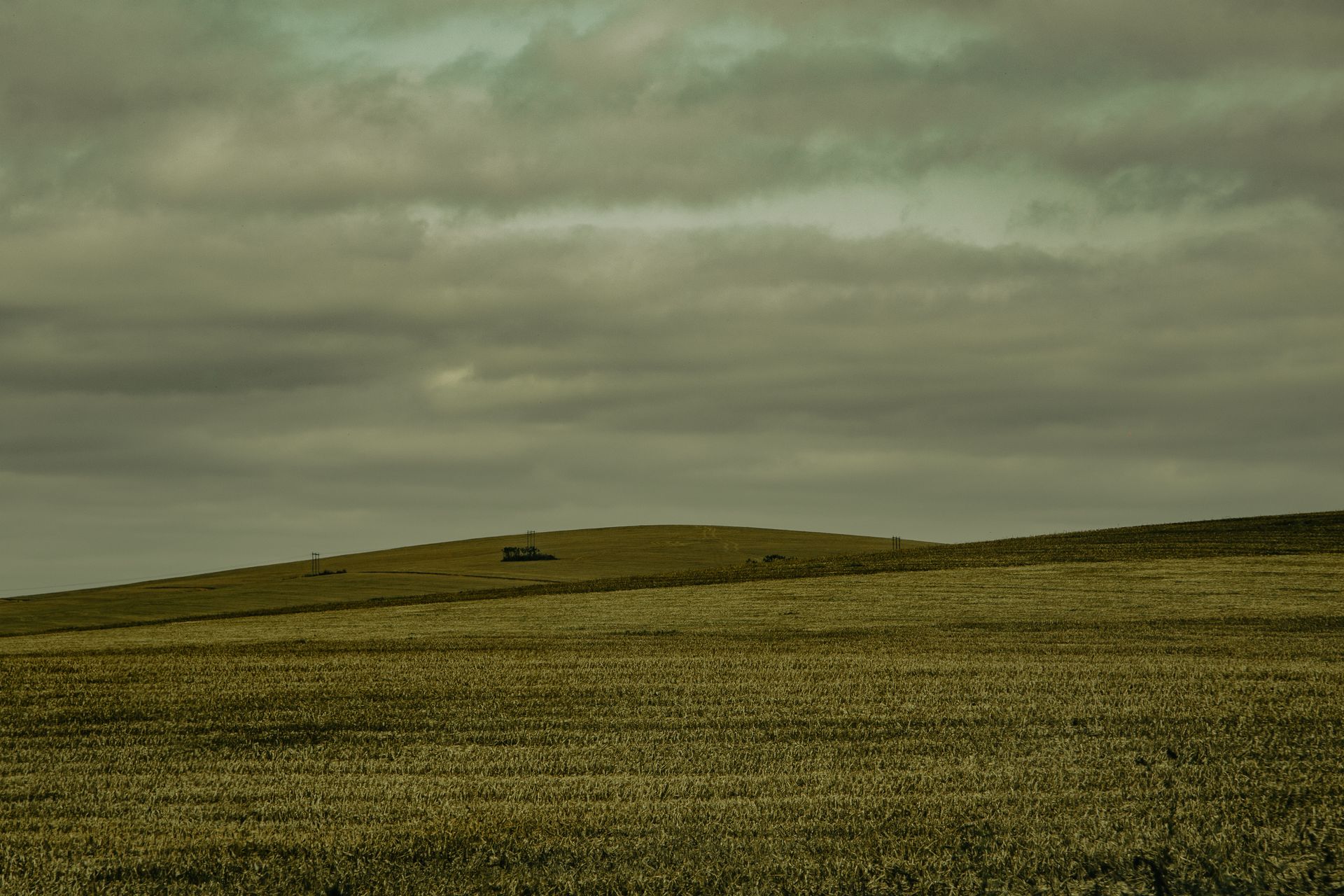 A vast Brazilian cropland under an overcast sky, capturing the calm rural landscape.