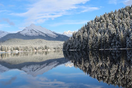 Imagine de stoc gratuită din acoperit de zăpadă, Alaska, apă curgătoare