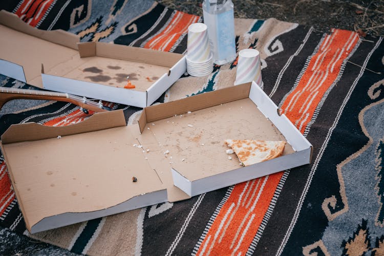 Boxes Of Pizza On Picnic Blanket