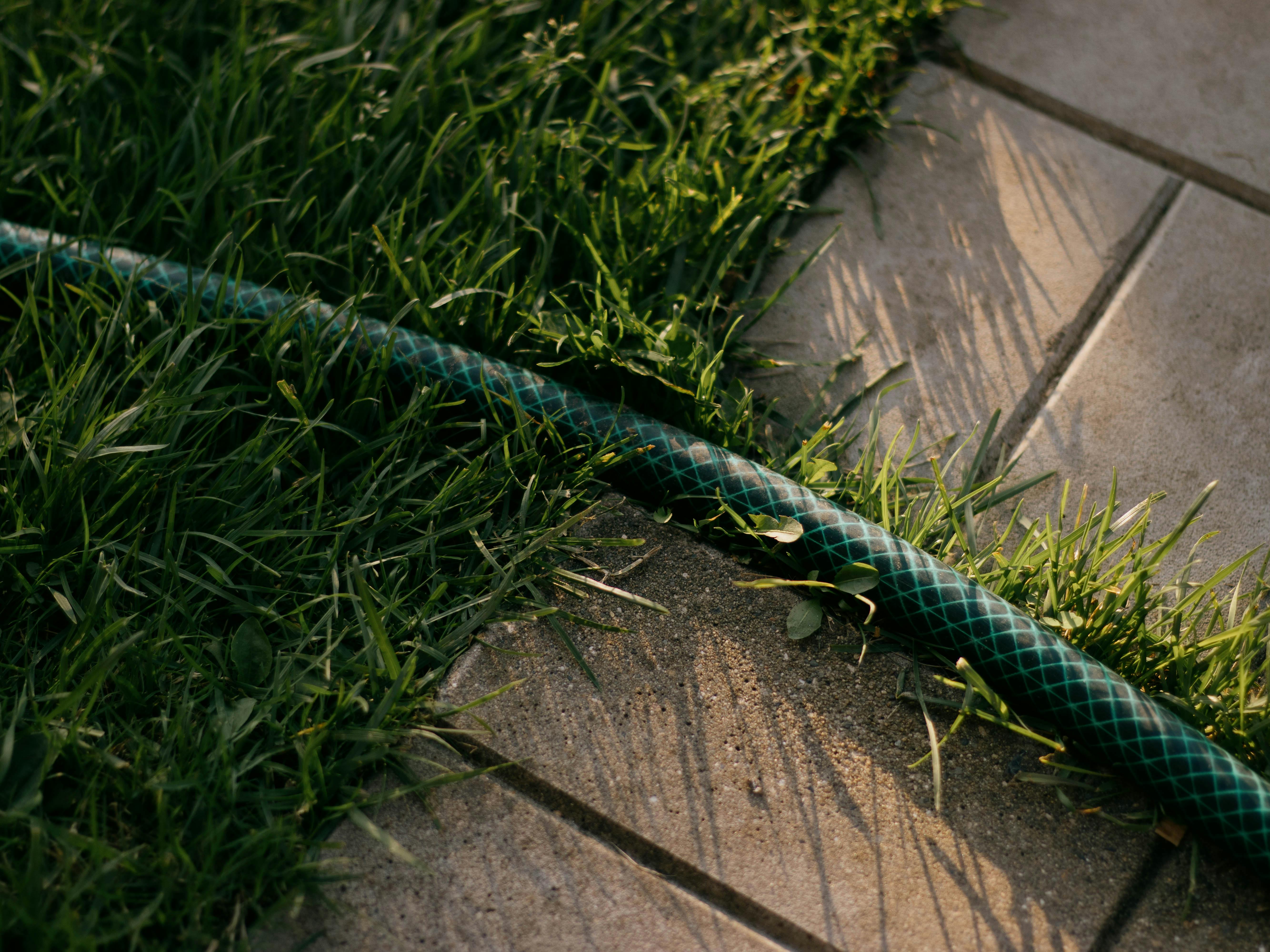 Detailed shot of a garden hose on green grass beside tiles, casting shadows.
