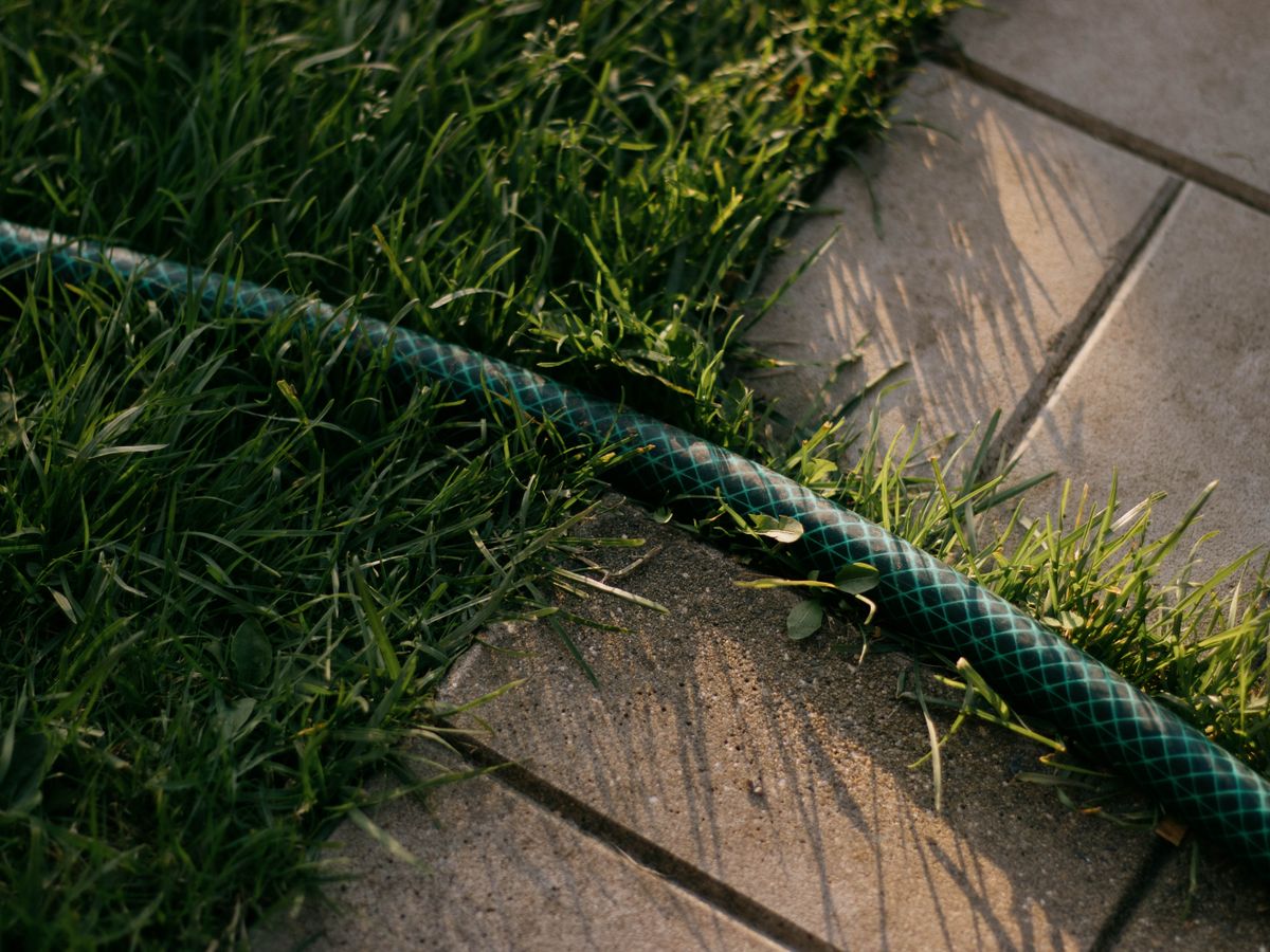 Detailed shot of a garden hose on green grass beside tiles, casting shadows.
