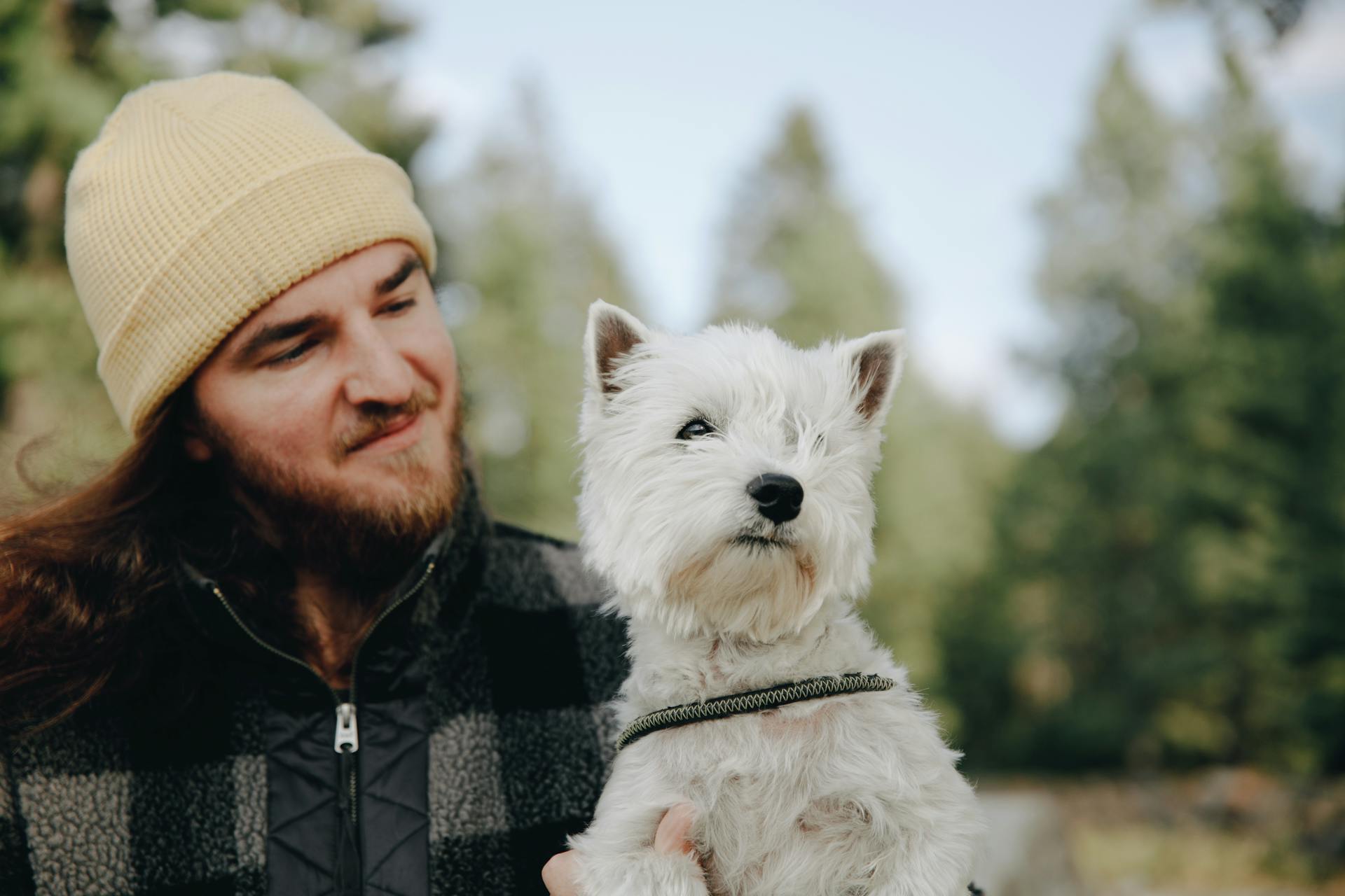 En man i en krämknuten mössa som håller en söt West Highland White Terrier