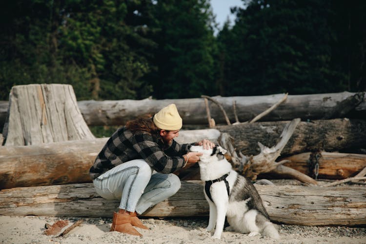 Man Playing With Husky 