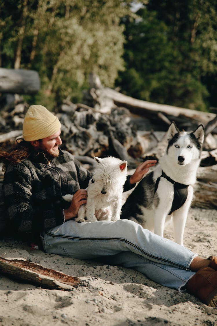 Man Sitting On White Sand With His Dogs