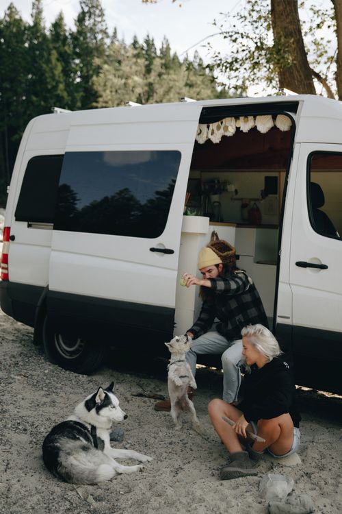 Free Couple enjoying a camping trip with dogs by their campervan in the forest. Stock Photo