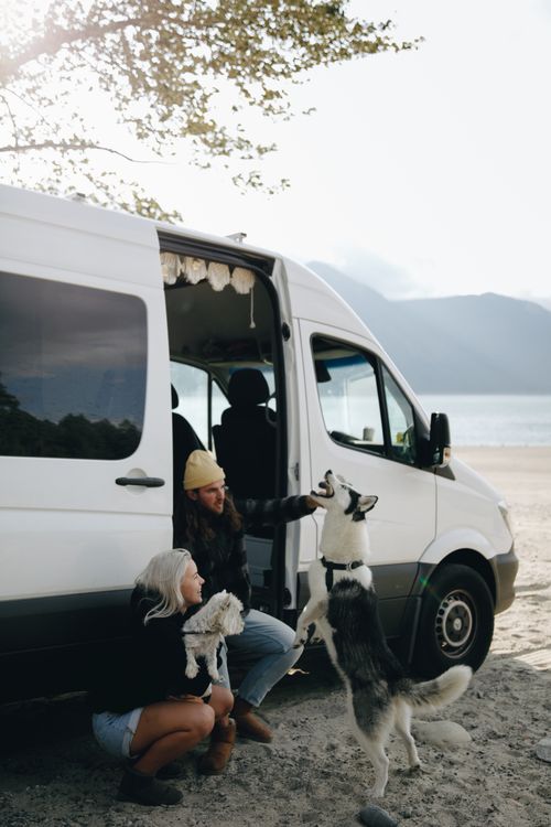 Free A couple with their dogs playing by a camper van on a sunny beach day, embracing travel and adventure. Stock Photo