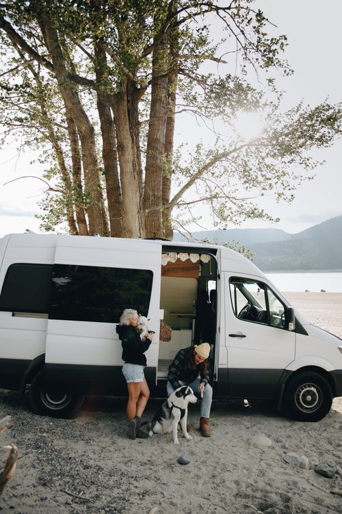 Free A couple with their dogs by a beachside van, enjoying a serene day outdoors. Stock Photo