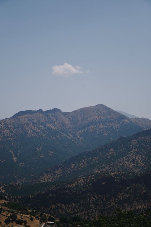 Picturesque landscape of mountains covered with green plants