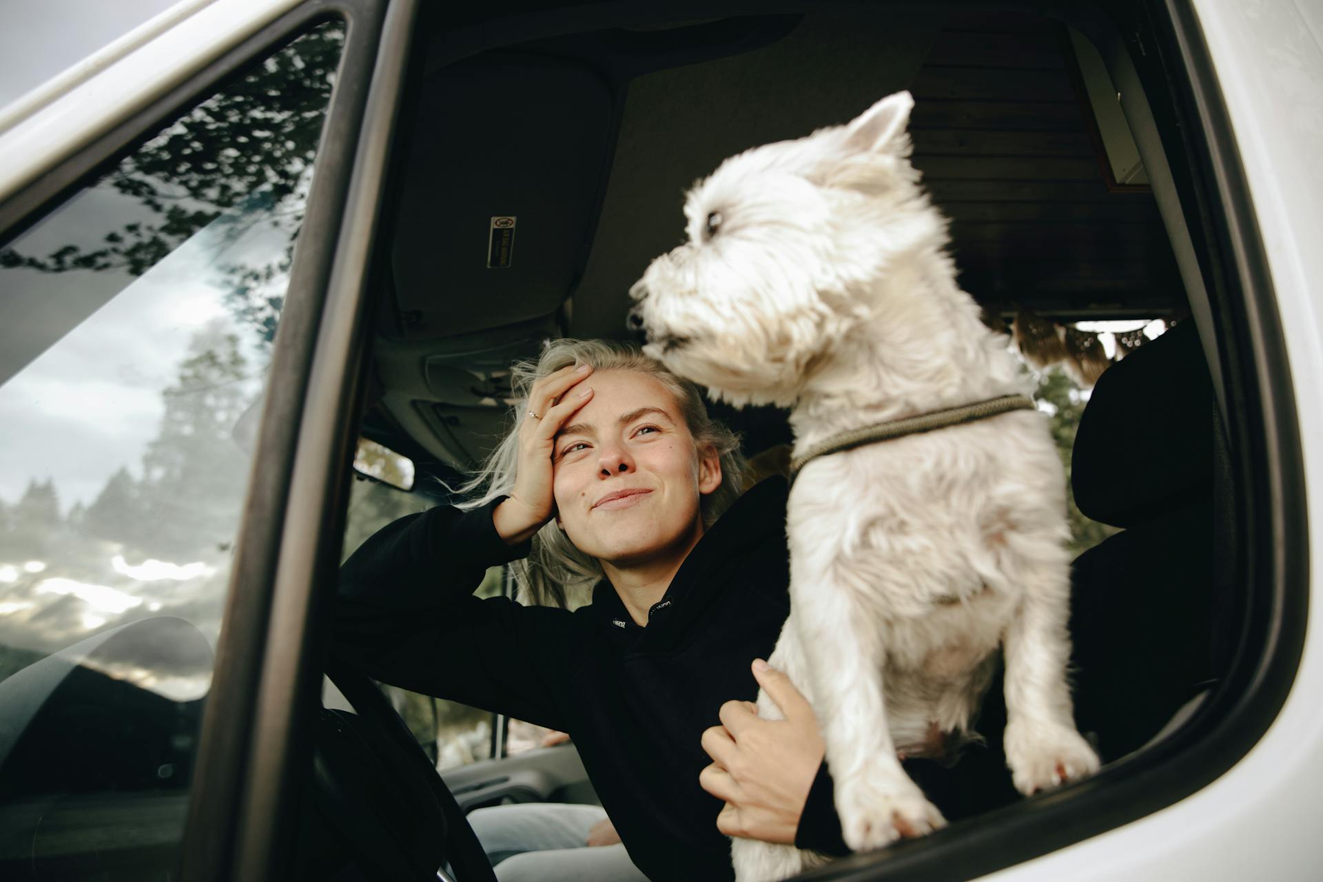 Free Woman in Black Long Sleeve Shirt Holding White Long Coated Dog Stock Photo