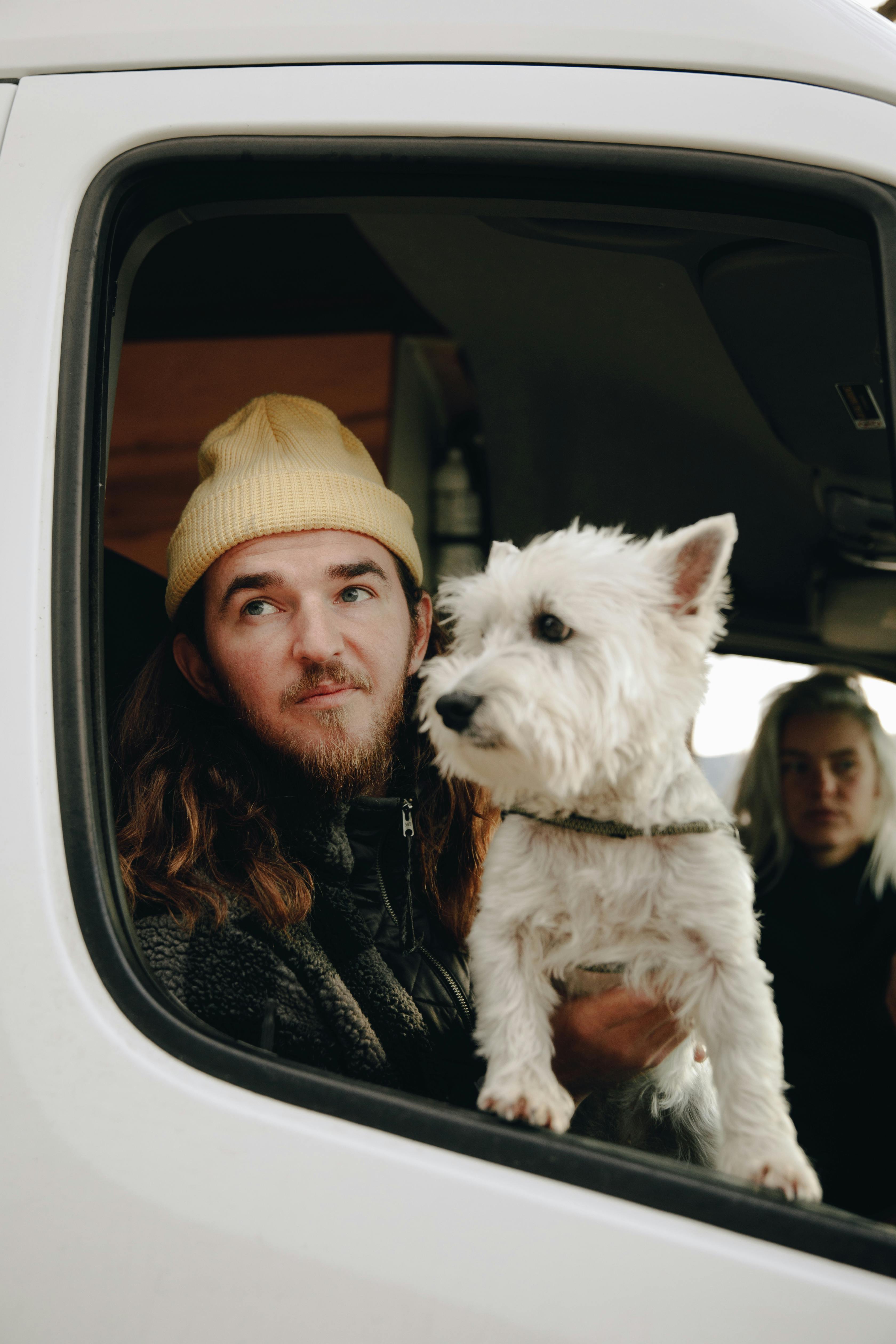 Gratis Fotos de stock gratuitas de adorable, compañero, dentro del auto Foto de stock