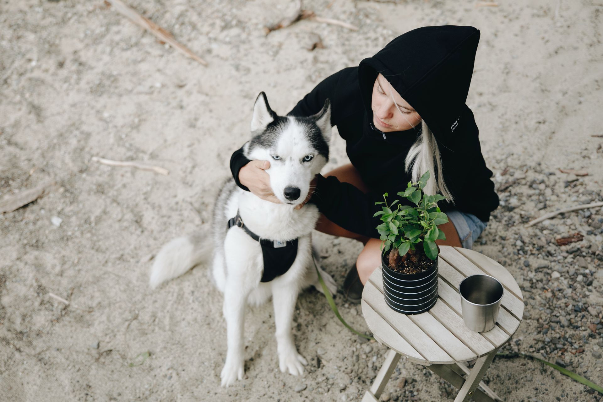 Woman in Black Hoodie Petting a Dog