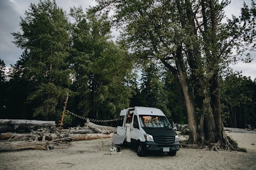 Бесплатное стоковое фото с деревья, жилой фургон, кемпинг