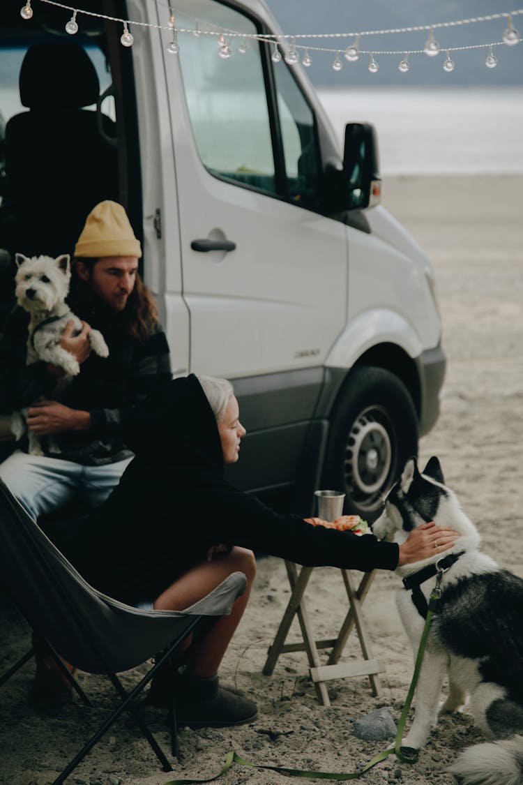 Man And Woman Holding Dogs