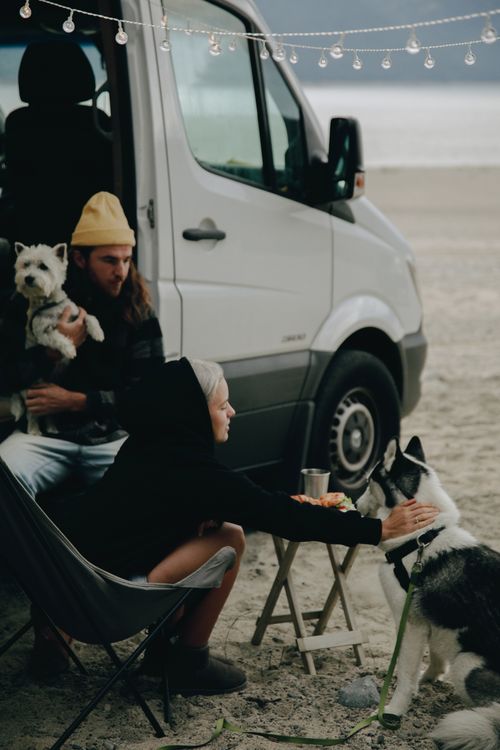 Free A couple enjoys a beachside camping experience with two dogs, embodying the van life lifestyle. Stock Photo