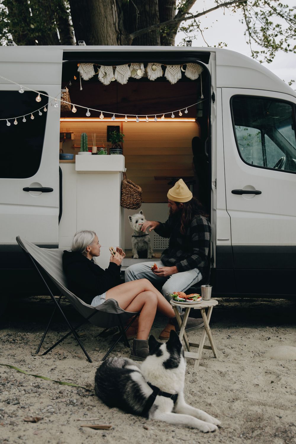 Photo by pnw-prod Two people and their dogs relaxing outdoors beside a campervan