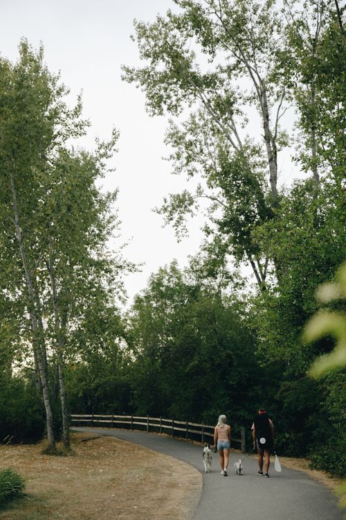 Free A couple enjoying a summer walk with their dogs on a scenic park pathway surrounded by lush greenery. Stock Photo