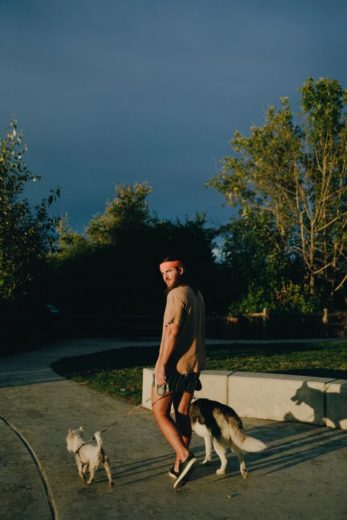 Free A man strolls through a sunny park with two dogs, one small and one large. Stock Photo