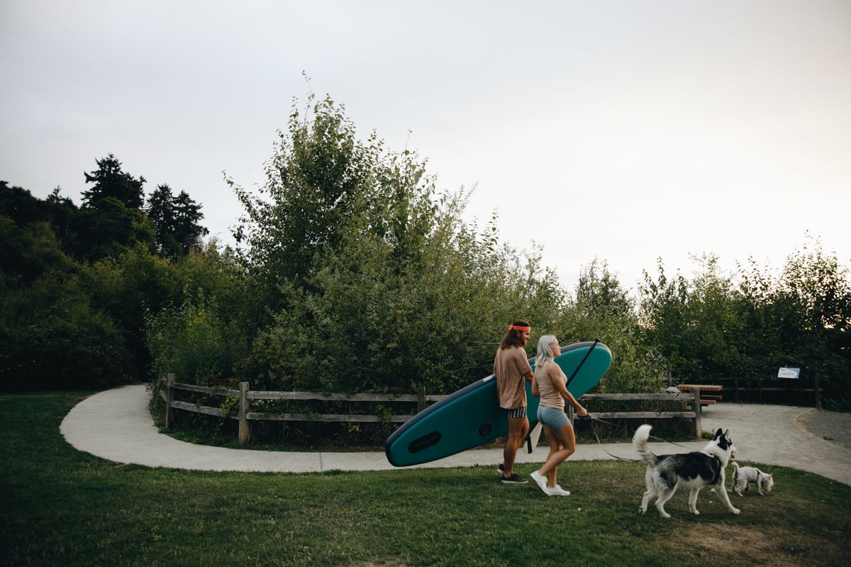 Boarding vs. Pet-Sitting vs. Bringing Your Pet Along