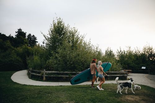 Free A couple walking their dogs while carrying a paddle board through a lush park during the day. Stock Photo