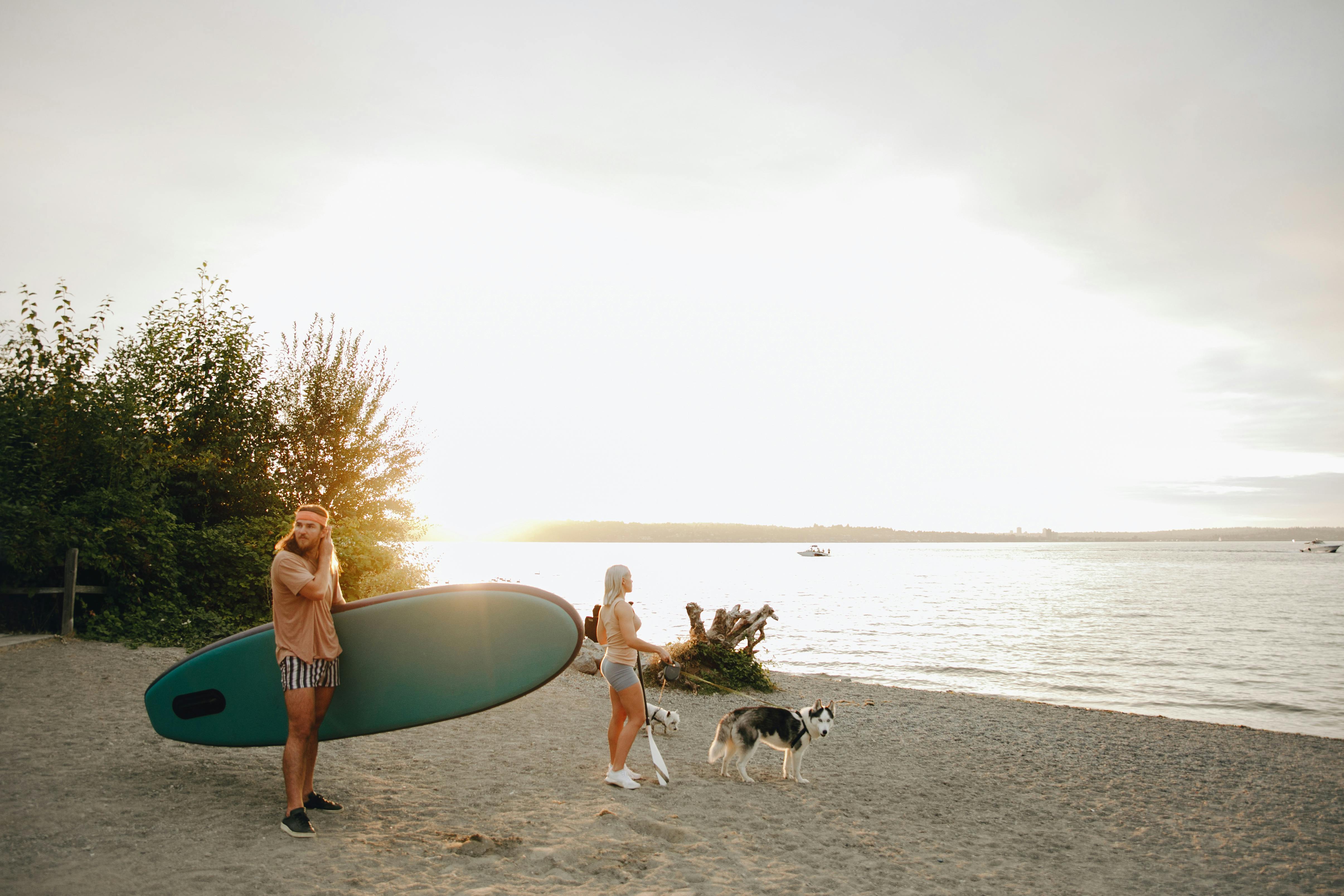 Woman Walking with Dogs and Man Holding a SUP Board on a Beach