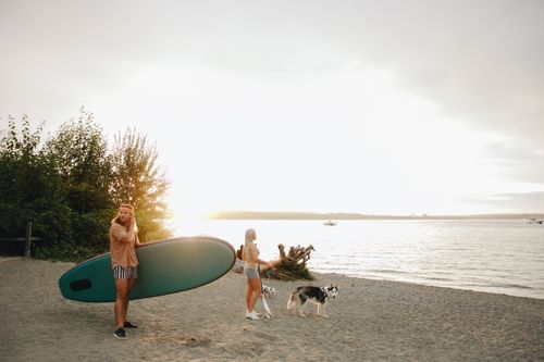 Free A couple with a husky enjoy paddleboarding on a sunny beach at sunset. Stock Photo