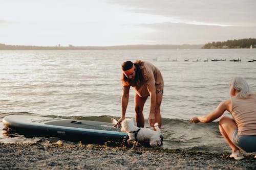 Man Putting a SUP Board into the Water and Woman Holding a Dog 