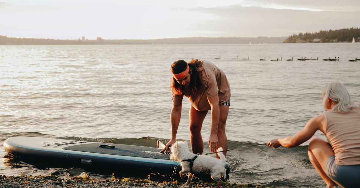 Man Putting a SUP Board into the Water and Woman Holding a Dog Man Putting a SUP Board into the Water and Woman Holding a Dog