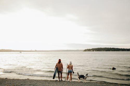 Free Back View of Man and Woman Standing on the Shore Stock Photo
