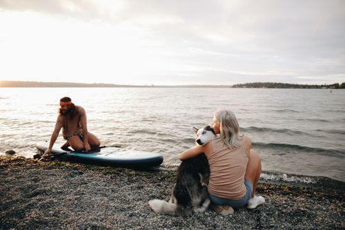 Free A serene beach scene at sunset with a couple and a husky, one man paddleboarding and one woman sitting with the dog. Stock Photo