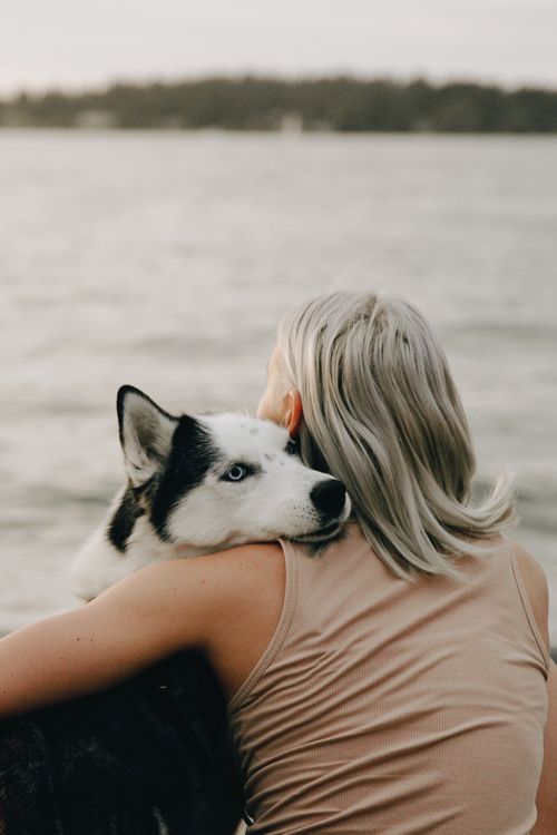 Free Woman with gray hair embraces Siberian Husky by the calm lake, showcasing friendship and tranquility. Stock Photo