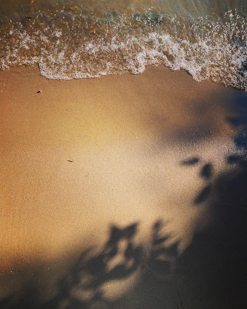 A Brown Sand Near the Body of Water