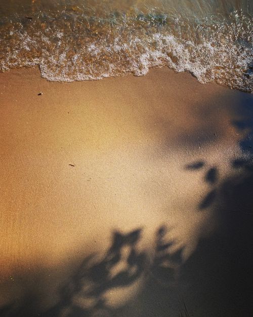 Free Capture of gentle waves on a sunlit sandy beach with shadow play, creating a serene scene. Stock Photo